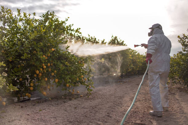 Pest Control for Restaurants in New Ellenton, SC
