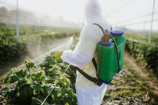 Best Pest Prevention Services  in New Ellenton, SC